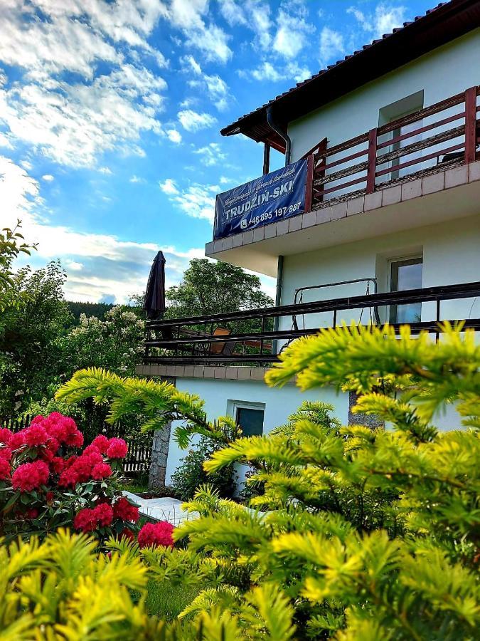 Pokoje Goscinne "Trudzin-Ski" Swieradow-Zdroj Exterior foto